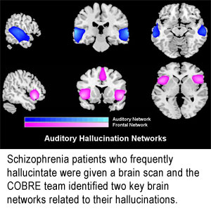 Text Box:    Schizophrenia patients who frequently hallucinate were given a brain scan and we identified two key brain networks related to their hallucinations.  