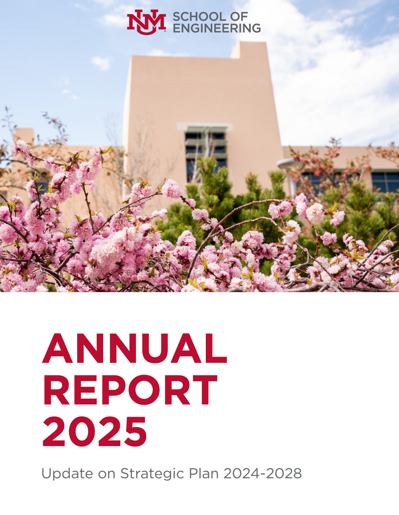 annual report cover