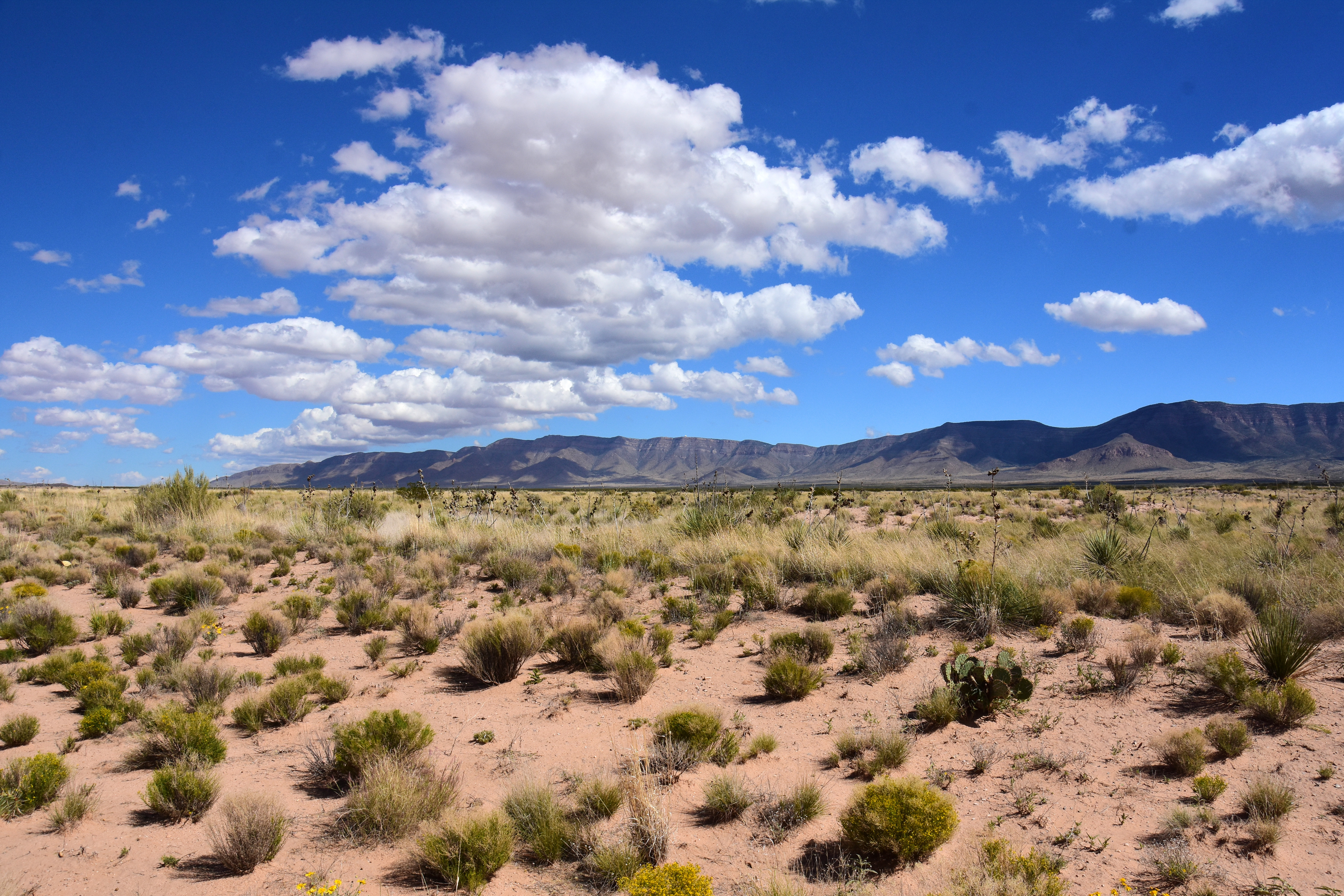 trinity site